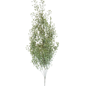 Faux Charleston Stem