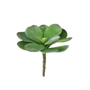 Faux Paddle Plant