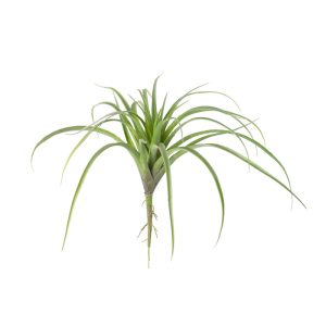 Faux Air Plant