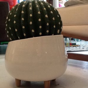 Small White Ceramic Planter w/ Wood Feet