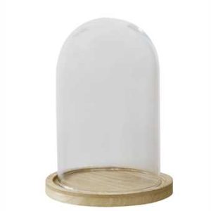 Glass Cloche w/ Wood Base