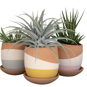 Color Dipped Clay Pot with Saucer - Pink